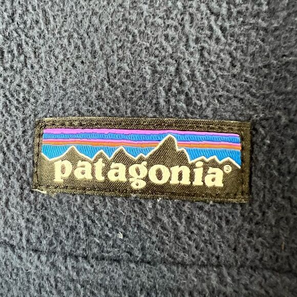Patagonia Micro D Snap-T Pullover - Picture 4 of 12